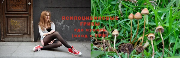 spice Белоозёрский