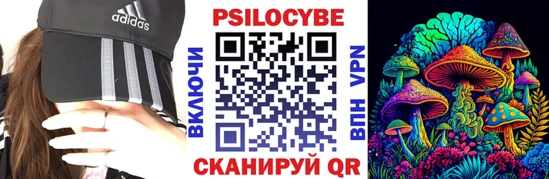 Псилоцибиновые грибы GOLDEN TEACHER  Купить закладки  Славянск-на-Кубани 